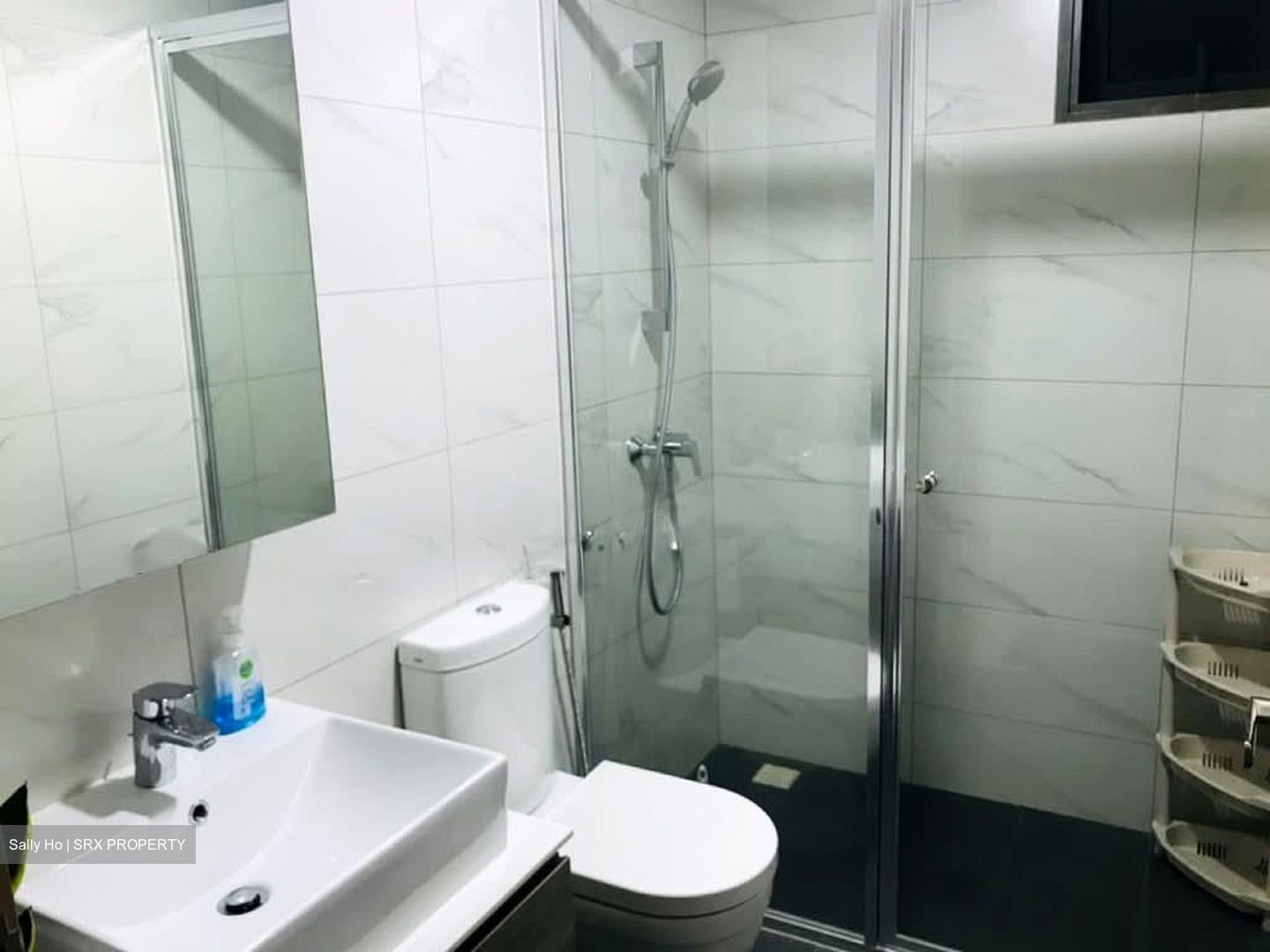 Treasure Crest (D19), Condominium #572146801